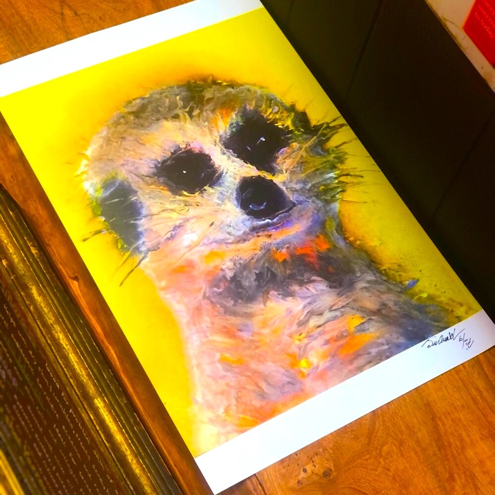 MEERKAT | 11x17” | Original Dan Arnold Spraypaint Artwork Print STL 2022